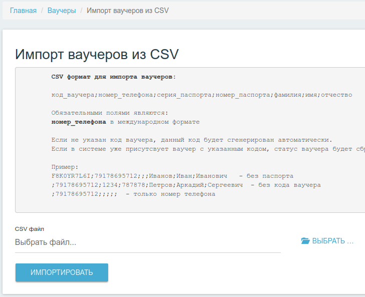 Интерфейс импорта ваучера